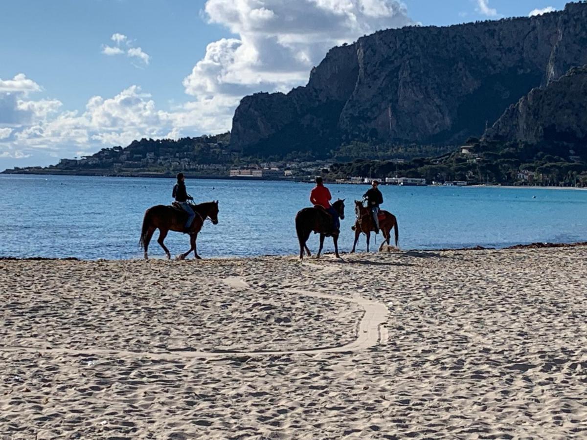Mondello Luxury Apartment *